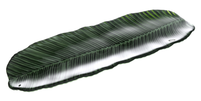 ml11105_1_png_small