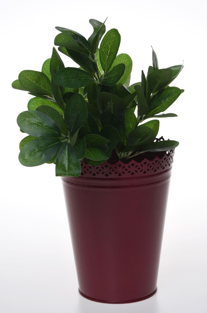 Zestaw 10 osłonek metalowych Lilly bordo